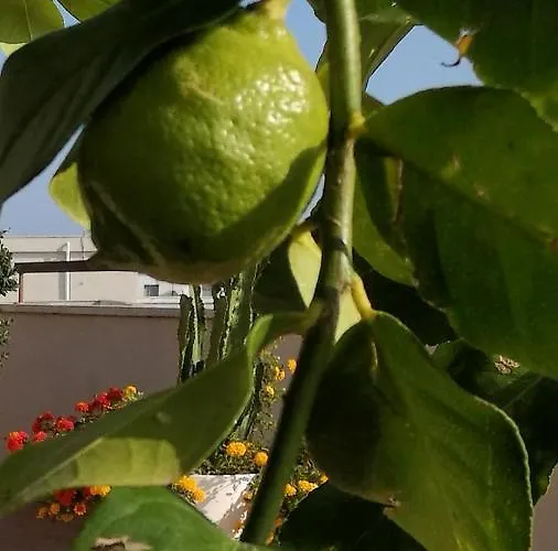 Appartement Isolaazzurra Monopoli