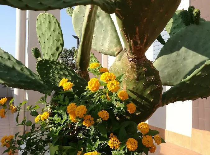 Apartamento Isolaazzurra Monopoli